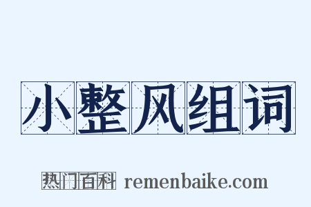 小整风组词是什么意思的图片